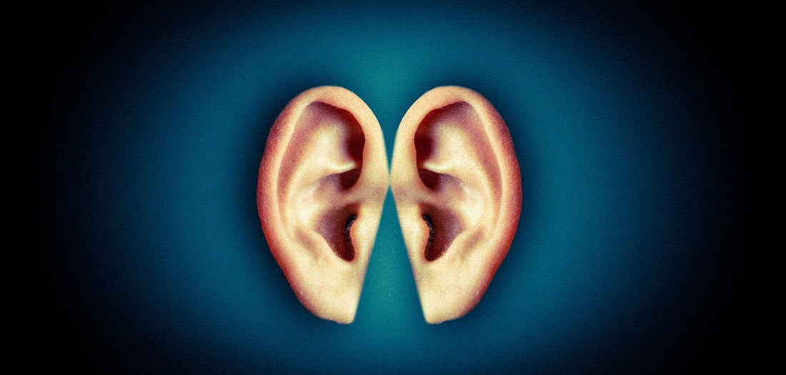 SCHWERHÖRIGKEIT - URSACHEN, VORBEUGUNG UND BEHANDLUNG - BERLIN EAR GUARD® OHRSTÖPSEL SHOP